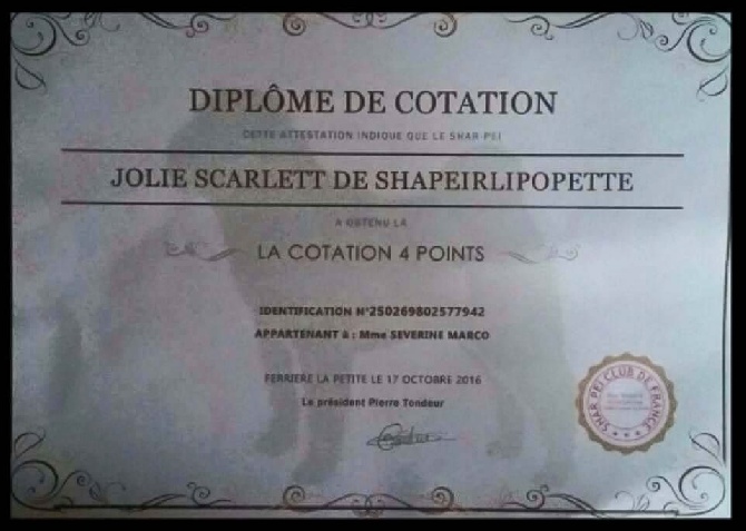 De Shapeirlipopette - Jolie Scarlett De Shapeirlipopette