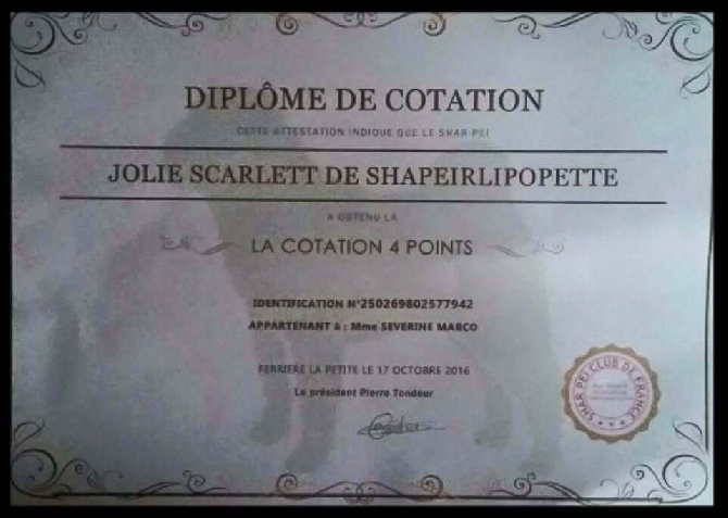 Jolie Scarlett De Shapeirlipopette